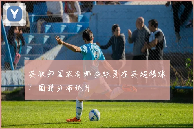 英联邦国家有哪些球员在英超踢球？国籍分布统计