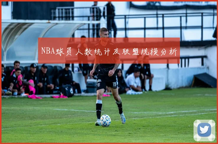 NBA球员人数统计及联盟规模分析
