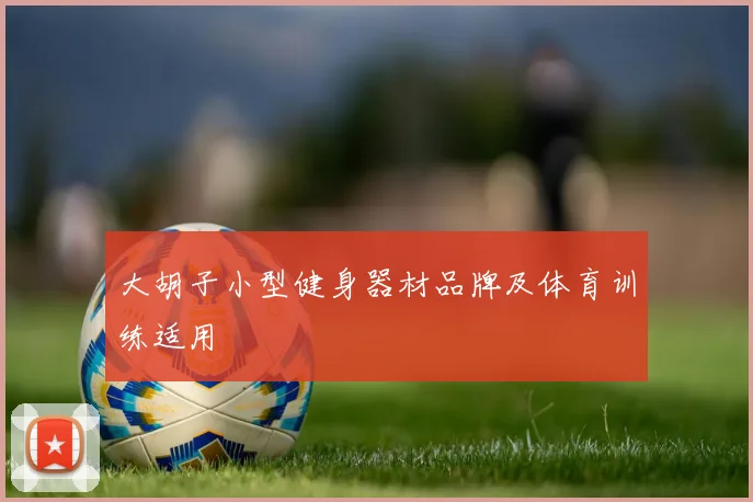 大胡子小型健身器材品牌及体育训练适用