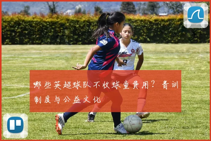 哪些英超球队不收球童费用?青训制度与公益文化