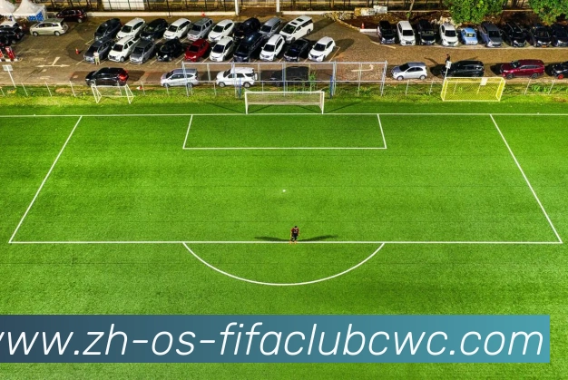 世界杯买球APP 高清赛事图