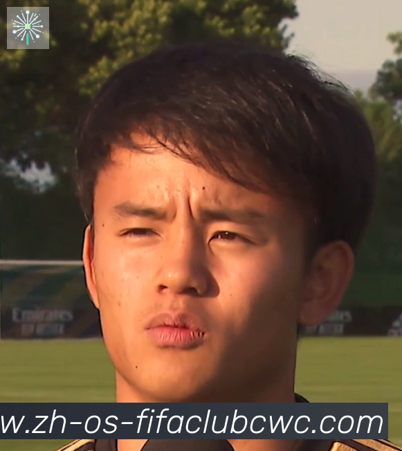 维尼修斯